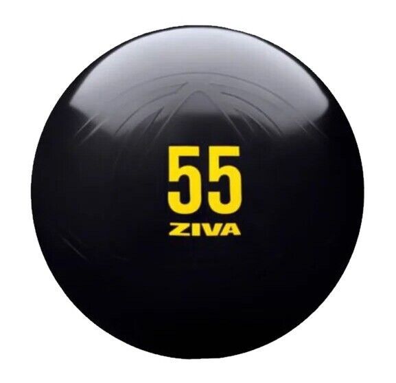 ZIVA - Fitness Bal, negro · 55 cm